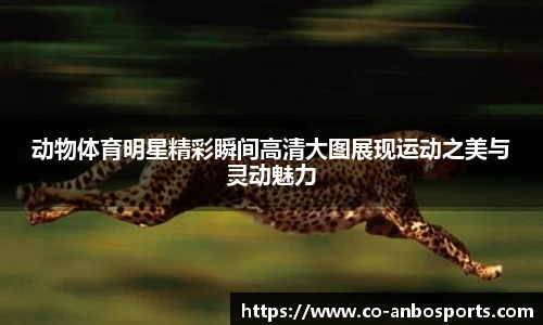 安博体育app