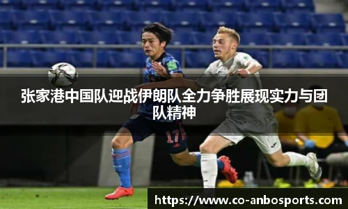 张家港中国队迎战伊朗队全力争胜展现实力与团队精神